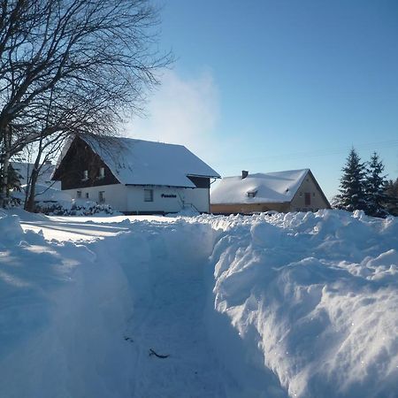 Pension Pugner Высоке-над-Йизероу Экстерьер фото